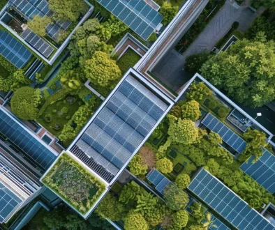 sustainability-consulting-header (1)